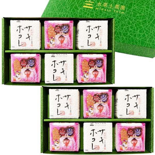 米 ギフト お中元 内祝 お返し 御礼 御祝 詰め合わせ サキホコレ 300g（2合）× 6個 2箱セット キューブ型 真空パック 令和7年産