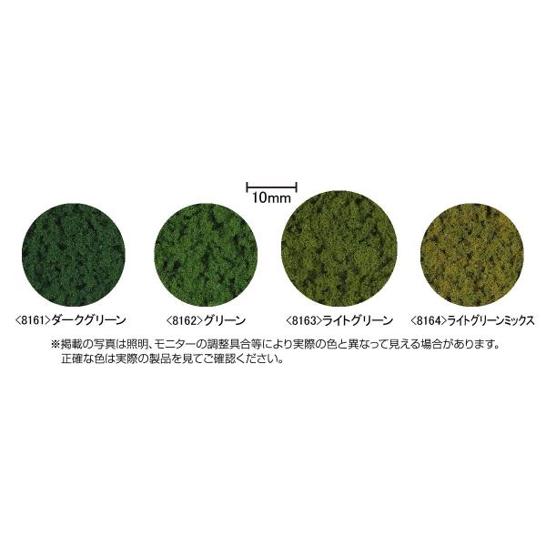 8163  tH[bW CgO[ g~bNX@NQ[W