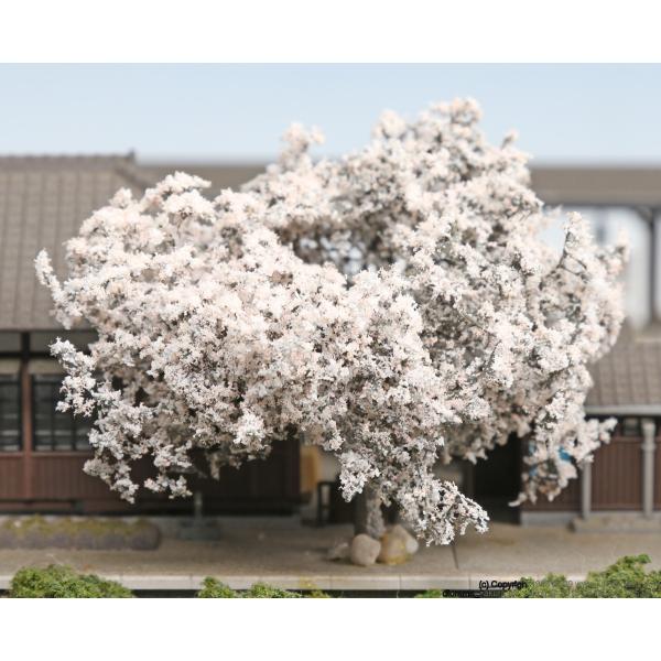 24-367  {̂ 50mm 3{  Jg[ NQ[W