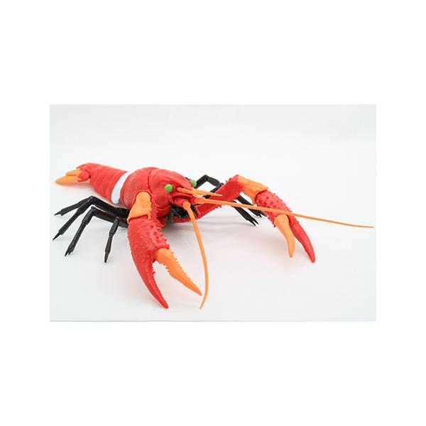 R242 G@QI AJUKj 2@dl@tW~  vf