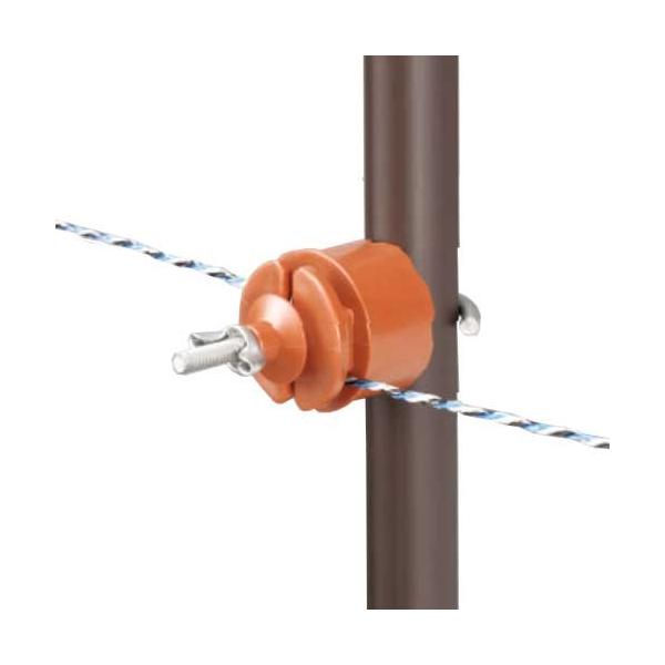 dq dC Qb^[VXep SKCVE (100) [d dCq hbptFX]