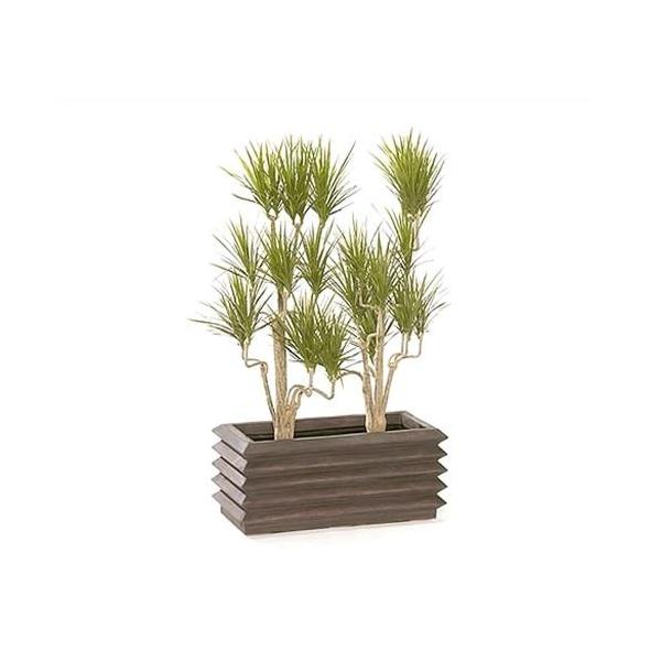 }g A[Nv^[95^ (t@Co[OX) [ ^ Jo[ |bg ]