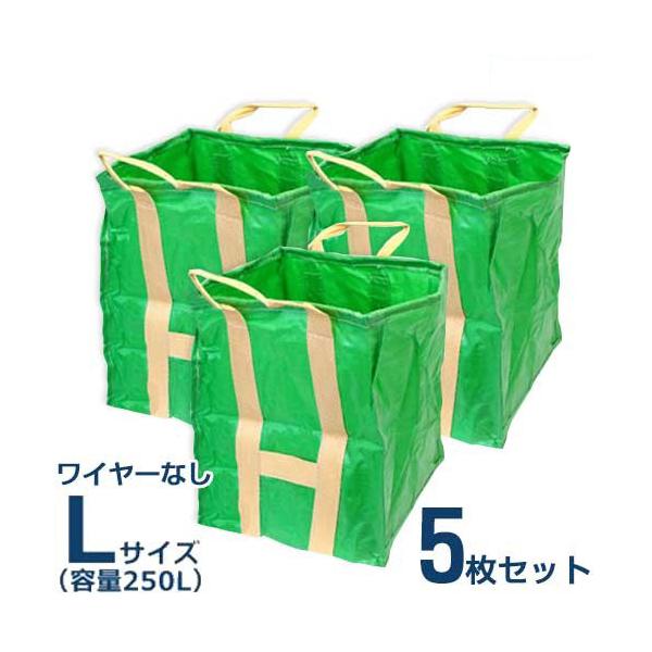 \ [YtobN LTCY 250L 5gZbg (C[Ȃ) [S~ tRobO ReiobN]