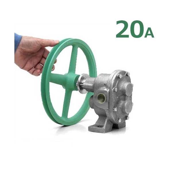 ギャードモーター付ポンプ(ギャーエス工業製) minatodenki_dngu-1-20a