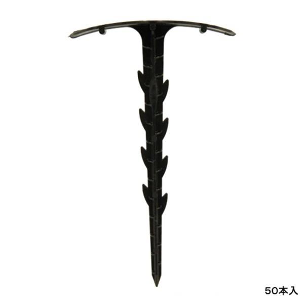 ZteB[3 V[g 50P 4977292693653 [B }Y s]