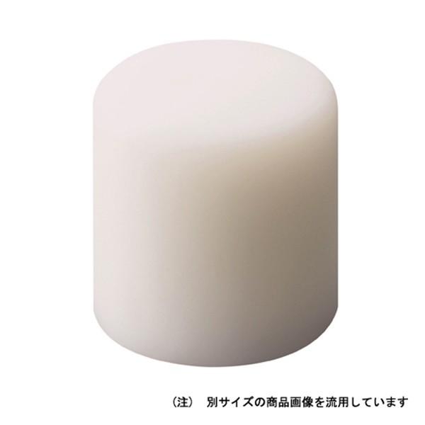 OH NTvn}[փwbh NT-10H 4963360213731 [H  ng]