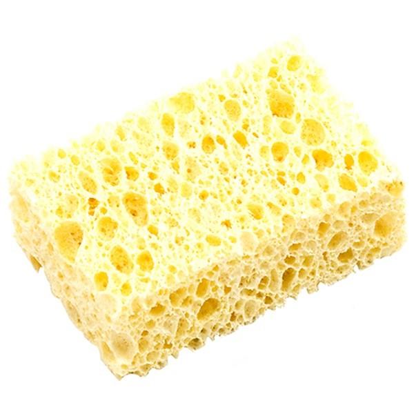 y[ցz^W}(Tajima) GCX~c{V8ږ SUMV8-WAT 4975364056924 [n o n]