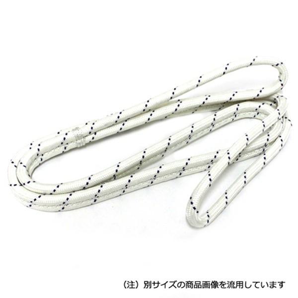 ナロック ポリパワースリングRC-2型 1TON 2M 4571109503021 [スリング