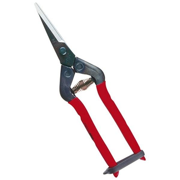 �y���[���ցz�ߐ�(�`�J�}�T) ��� �E���� T-55CH 4967645011364 [�� ���n��]