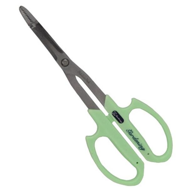 y[ցzT{e Vg NO.1287 4976365128719 [Q쏜 jȂ G]