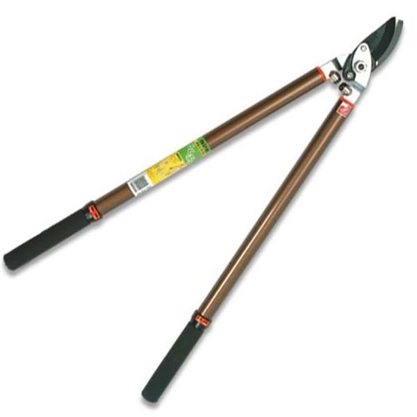 J}L Lk} 炭Ԃ NO.7510 4953699500831 [ }]