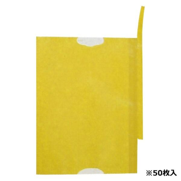 F{X ʎ܂Ȃ K-12 50}CC 4933702101118 [npi]