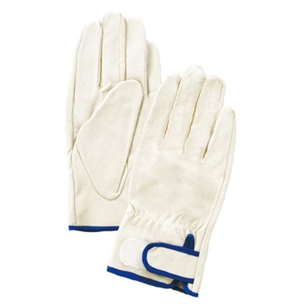 pbN ؔAe 3og3-232 L 4952558594806 [[NT|[g ی  v]