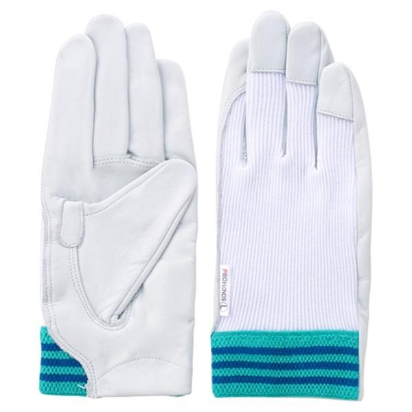 y[ցzvnY dHA~ NO.12A V L 4952558320108 [[NT|[g ی  v]