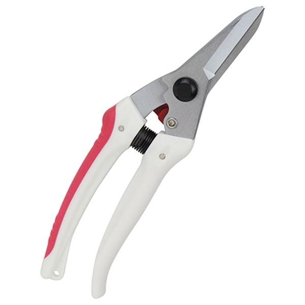 y[ցzg K[fؙ TbN SGP-44 4977292665698 [ ]