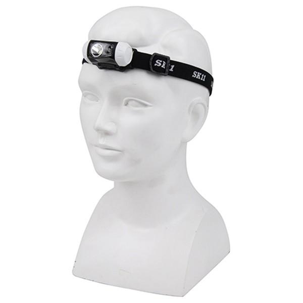 SK11 drLEDwbhCg 4977292407090 [LEDwbhCg]