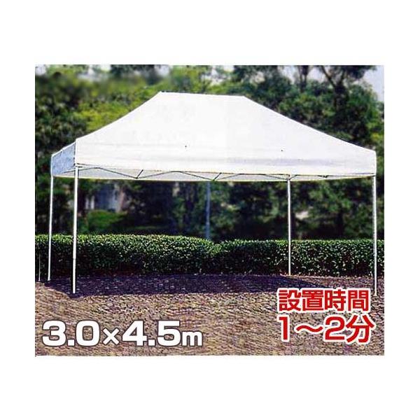 �t�i�C �X�s�[�h�e���g FS3045 [�T�C�Y3.0×4.5]