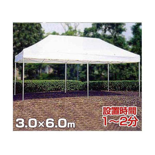 �t�i�C �X�s�[�h�e���g FS3060 [�T�C�Y3.0×6.0]