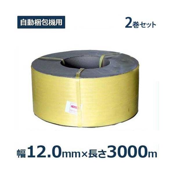 自動梱包機用PPバンド グローバルオーキッドバンド 2巻セット (幅12mm×長さ3000m)