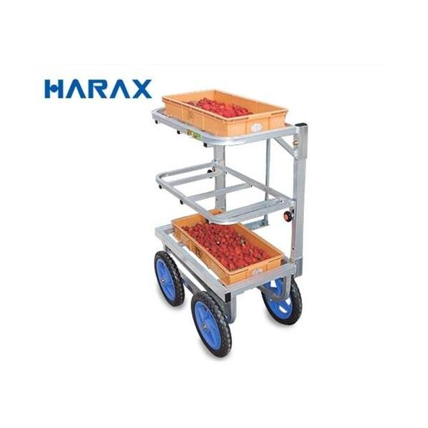 nbNX n ؍ SW-312 (䕂̎np)