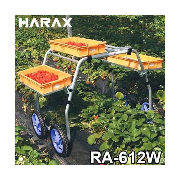 nbNX n yY RA-612W (䕂̎np)