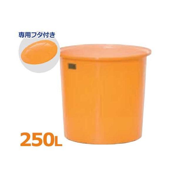 XCR[ ی^^N M^e M-250{pt^tZbg (e250L) [ی^e]