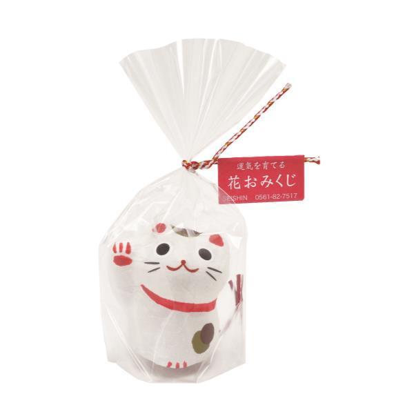 V| GD-32701 ݂Lq 2050248 [͔|Lbg O[]