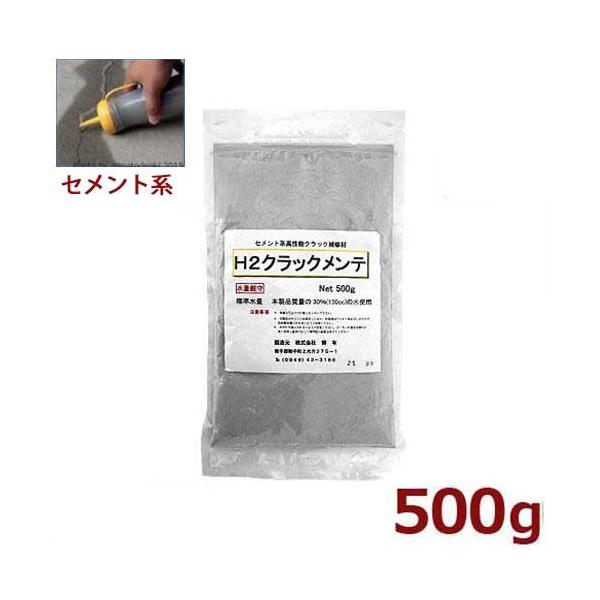 L ZgnRN[gpNbNC H2NbNe 500g [RN[gC C ^ Ђъ]