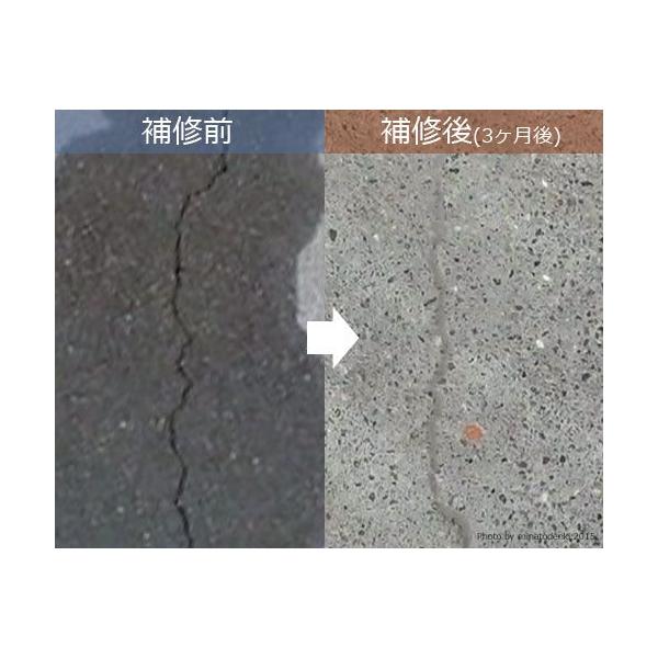 博有 セメント系コンクリート用クラック補修材 H2クラックメンテ 1kgセット 500g 2袋入り コンクリート補修剤 補修材 モルタル ひび割れ Buyee 日本代购平台 产品购物网站大全 Buyee一站式代购 Bot Online