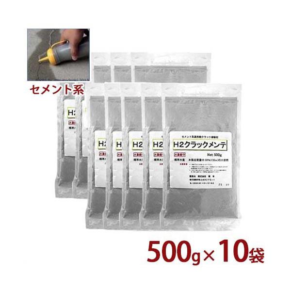 L ZgnRN[gpNbNC H2NbNe 5kgZbg (500g×10ܓ) [RN[gC C ^ Ђъ]