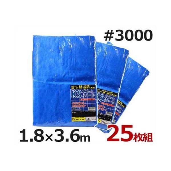 PCGX u[V[g 1.8m×3.6m #3000E^Cv 25 (4) [hV[g]