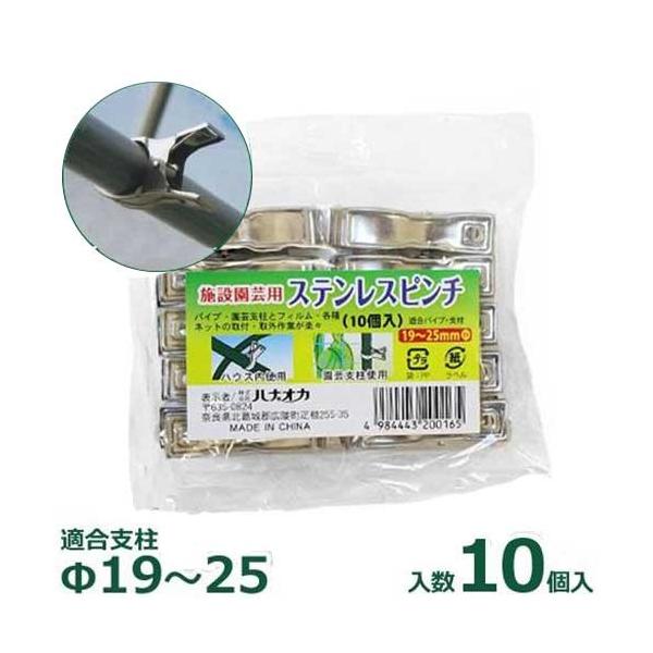 niIJ {݉|pXeXs` 10 (Kxa19`25mm) [|pNbvs`]