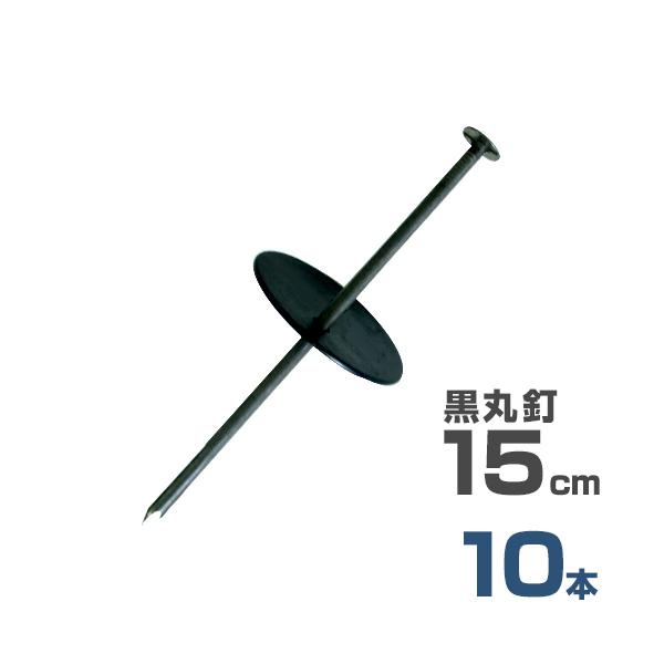 y[ցzB{ەt 15cm 10{Zbg (hV[gp) [Y }Y s wAsY Us V[g]