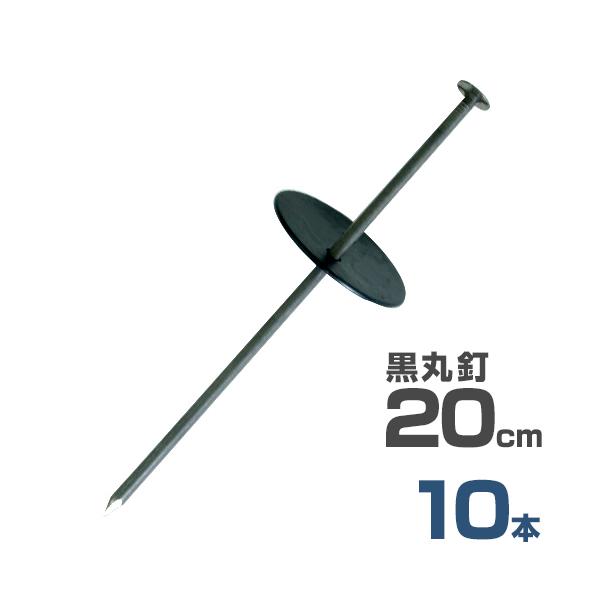 y[ցzB{ەt 20cm 10{Zbg (hV[gp) [Y }Y s wAsY Us V[g]