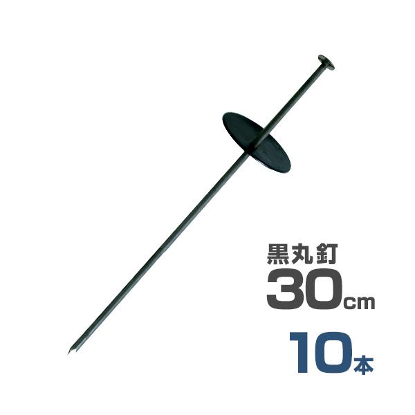 y[ցzB{ەt 30cm 10{Zbg (hV[gp) [Y }Y s wAsY Us V[g]