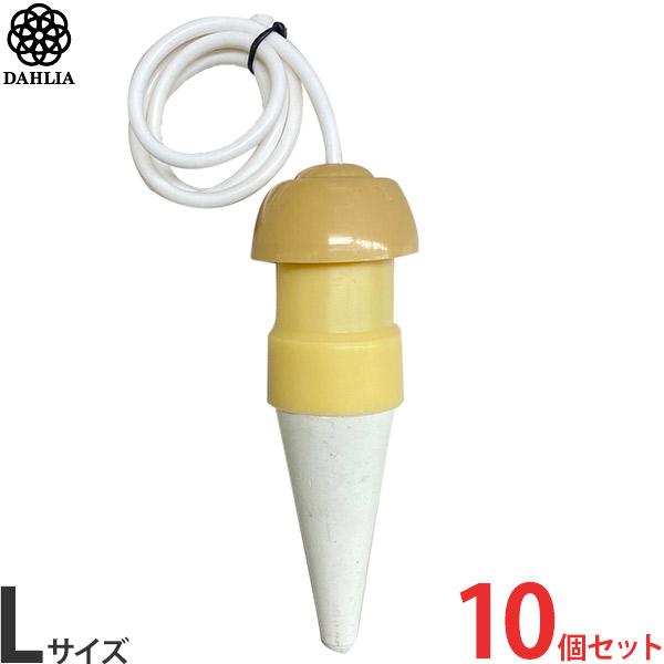 _  蓖 L x[W 10Zbg