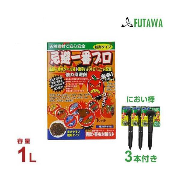 t^ ͊ ԃv ܃^Cv1L{ɂ_3{tZbg (nolEj[) [Qb쏜]