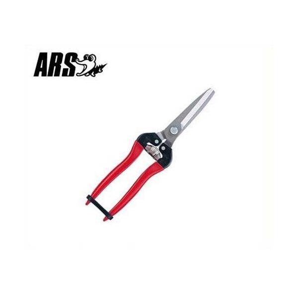 AX ؉ ЍLXe 300LW-DX-BP (uX^[pbN/n55mm) [ARS ʕp nT~ ͂]