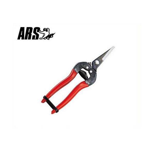 AX EV[g^Cv 175mm 300S (uX^[pbN/n34mm) [ARS ʕp nT~ ͂]