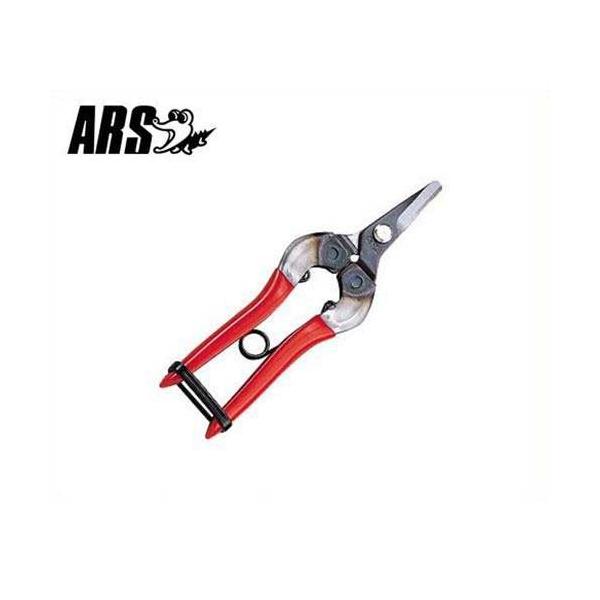 AX ̉ 310 (/n26mm) [ARS ʕp nT~ ͂]