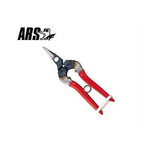 AX smΗp̉ 310-D-R (/n25mm) [ARS ʕp nT~ ͂]