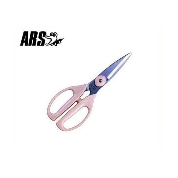 AX VFtX^[l 5000-P (sN/n65mm) [ARS ʕp nT~ ͂]