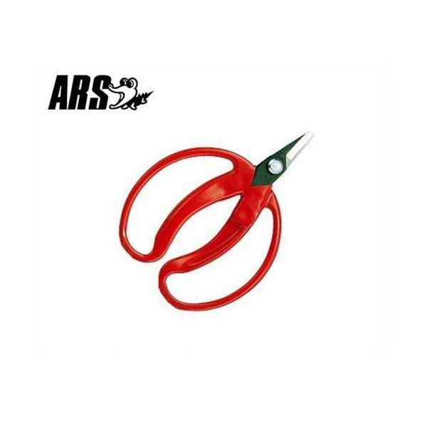 AX ݂̎  420 (ܓ/n24mm) [ARS ʕp ~J  nT~ ͂]