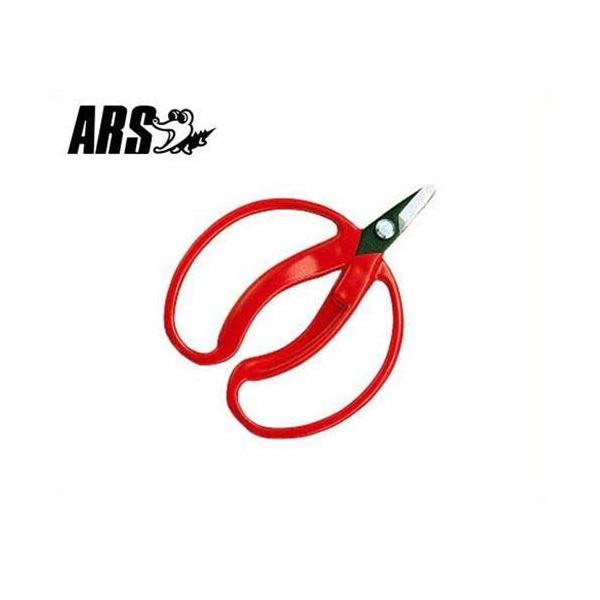 AX ݂̎  410 (ܓ/n24mm) [ARS ʕp ~J  nT~ ͂]