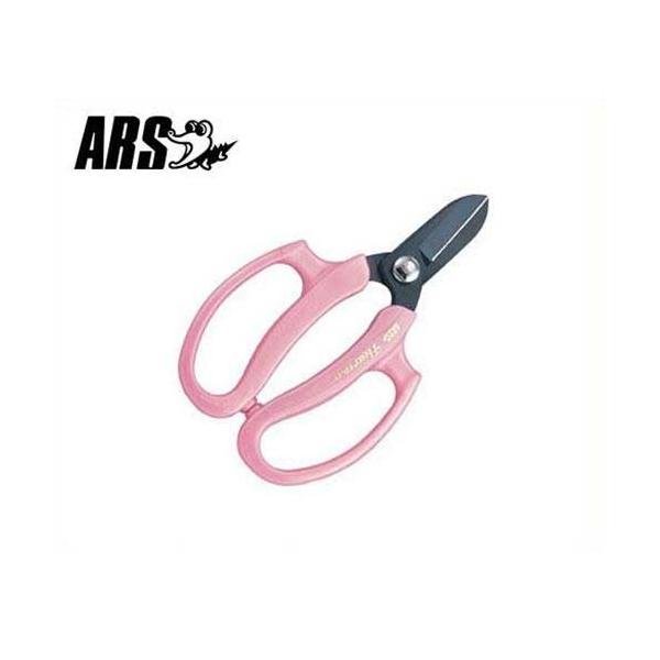 AX ƖpԂ͂ t[ FP-17-P (sN/n41mm) [ARS nT~ ΂  ͂]