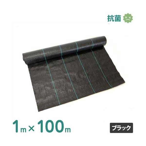 VZC hV[g 1m×100m ubN (hJrdl/Rۍܓ) [ 悯V[g Gh~V[g]