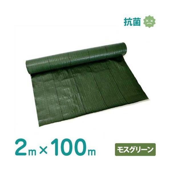 VZC hV[g 2m×100m XO[ (hJrdl/Rۍܓ) [ 悯V[g Gh~V[g]