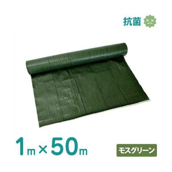 VZC hV[g 1m×50m XO[ (hJrdl/Rۍܓ) [ 悯V[g Gh~V[g]