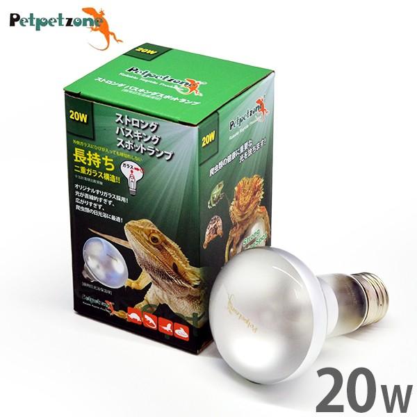 XgO oXLOX|bgv 20W (p ۉ) [[XC Ɩ ঒  ybgybg][]