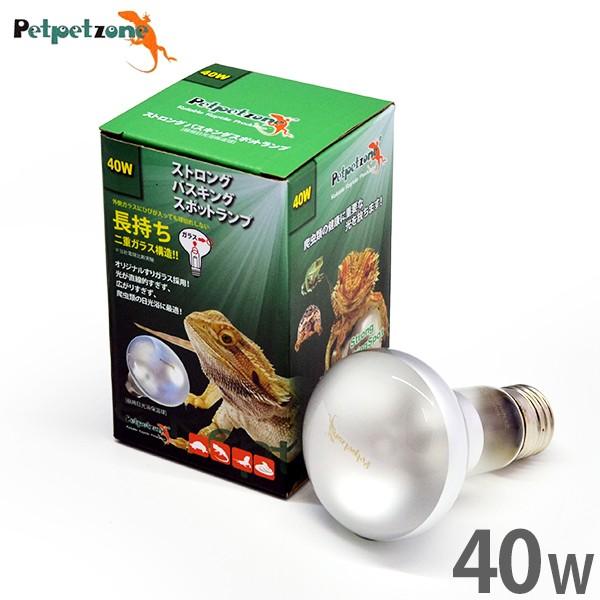 XgO oXLOX|bgv 40W (p ۉ) [[XC Ɩ ঒  ybgybg][]